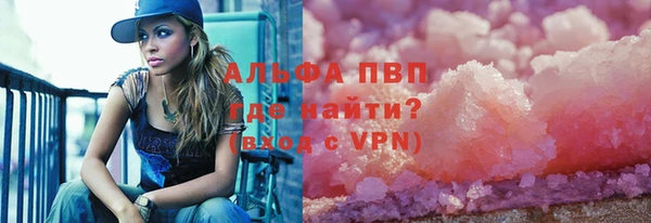 индика Вязьма