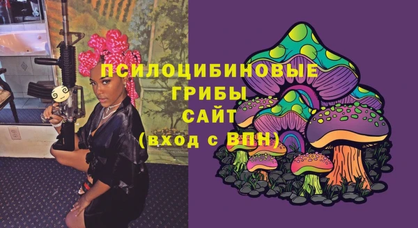 МДПВ Вязники