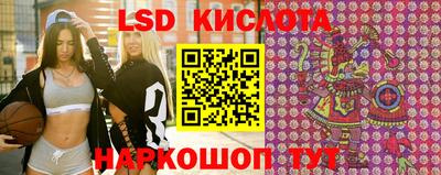 крисы Бийск