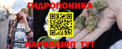 крисы Бийск