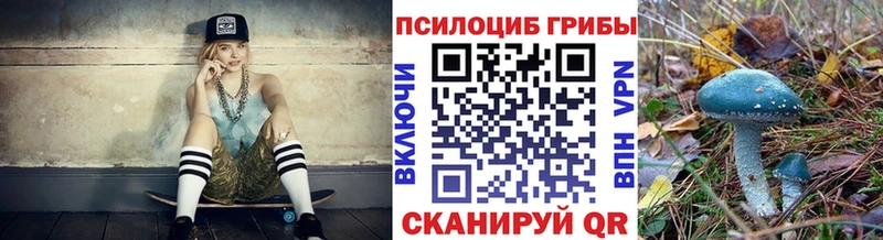 Псилоцибиновые грибы Magic Shrooms  закладки  Всеволожск 