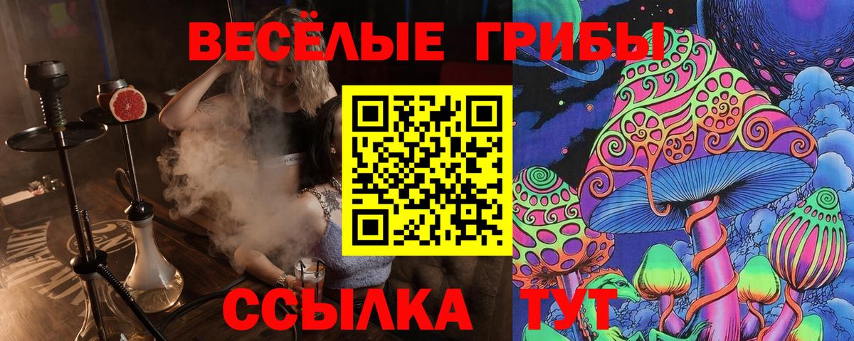 Галлюциногенные грибы MAGIC MUSHROOMS  Галлюциногенные грибы Cubensis  Вход с VPN  Всеволожск 
