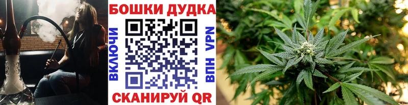 Бошки Шишки White Widow  кракен как войти  Всеволожск 